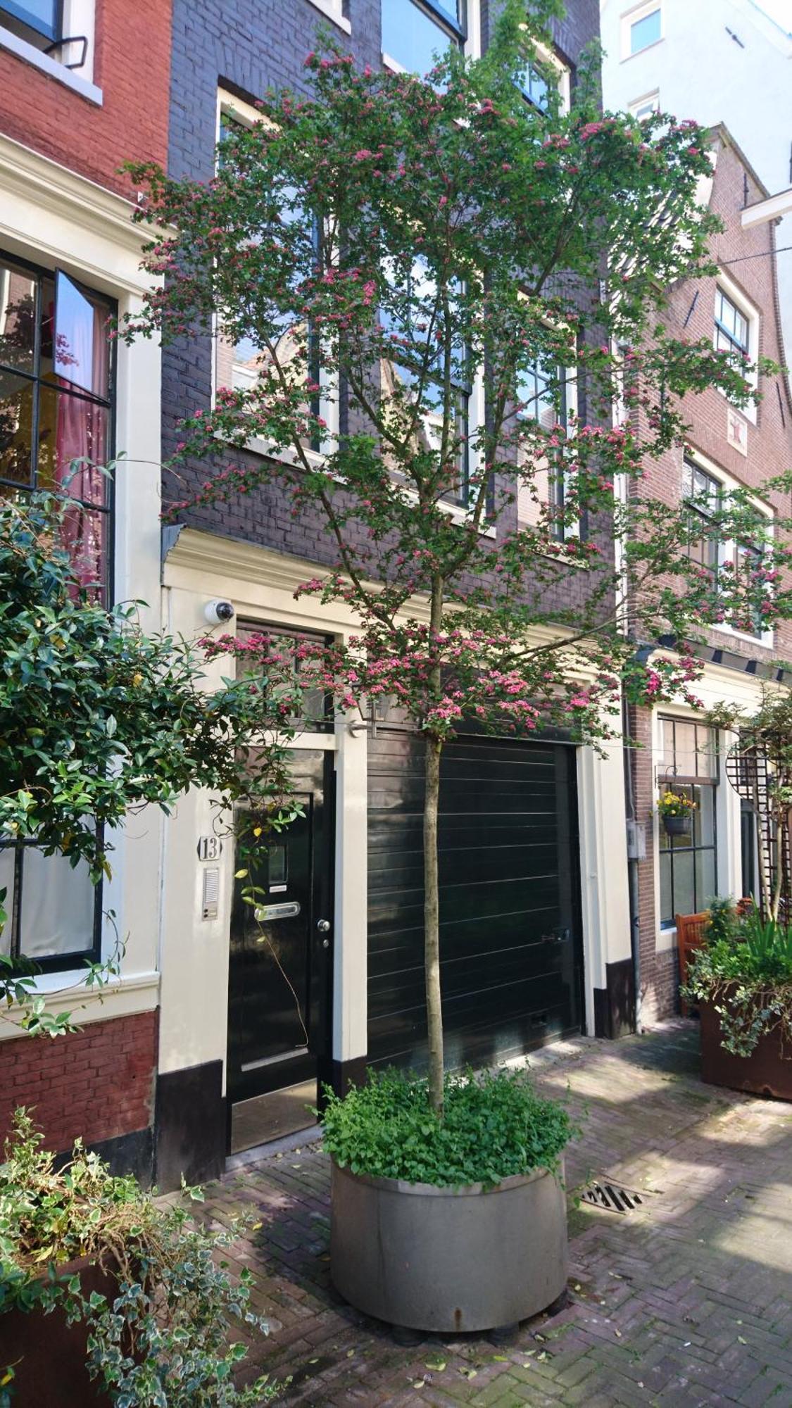 Huis Roomolen Amsterdam Ngoại thất bức ảnh